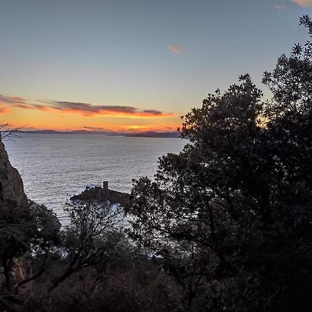 Appartement Lumineux Vue Mer Frejus Bagian luar foto